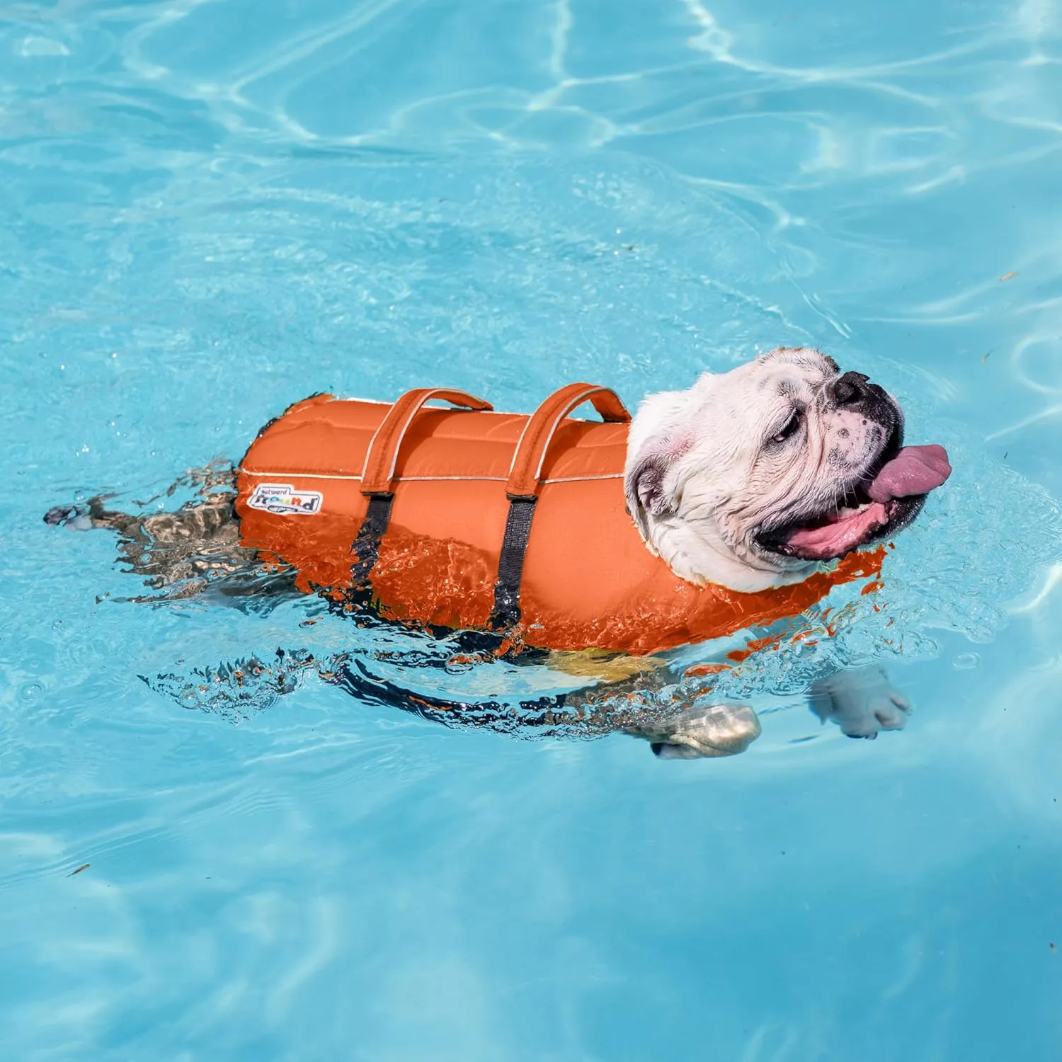 Outward Hound Granby Splash Dog Life Jacket, High-Buoyancy Dog Life Vest for Swimming, Boating, and Water Safety, XL, Orange