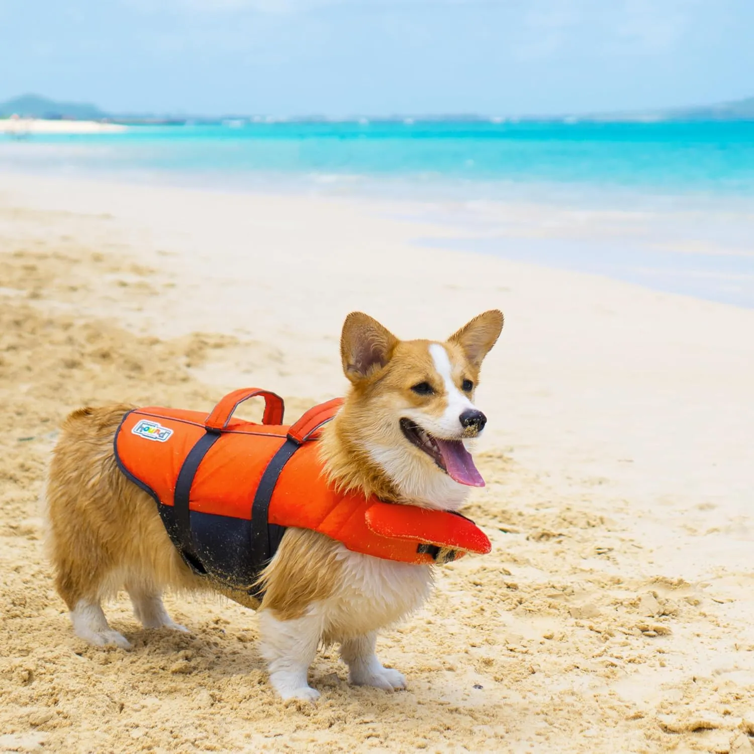 Outward Hound Granby Splash Dog Life Jacket, High-Buoyancy Dog Life Vest for Swimming, Boating, and Water Safety, XL, Orange